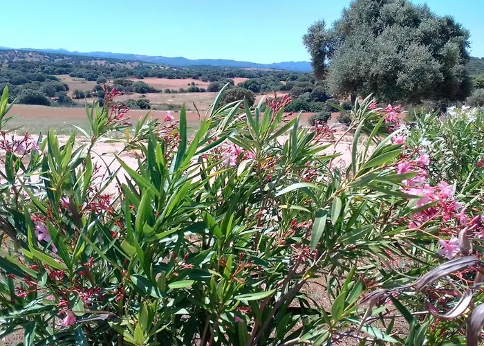Panzió Andrieddu Telti