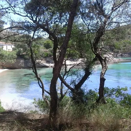 Bed & Breakfast Andrieddu