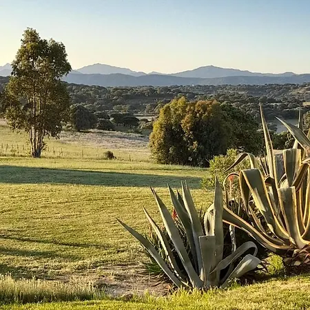 Bed & Breakfast Andrieddu 3*