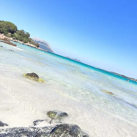 Andrieddu Bed & Breakfast 3*