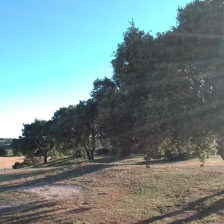 Bed & Breakfast Andrieddu