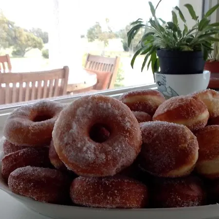 Bed and breakfast Andrieddu