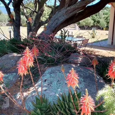 Bed & Breakfast Andrieddu 3*