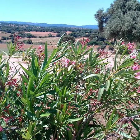 Bed and breakfast Andrieddu Telti